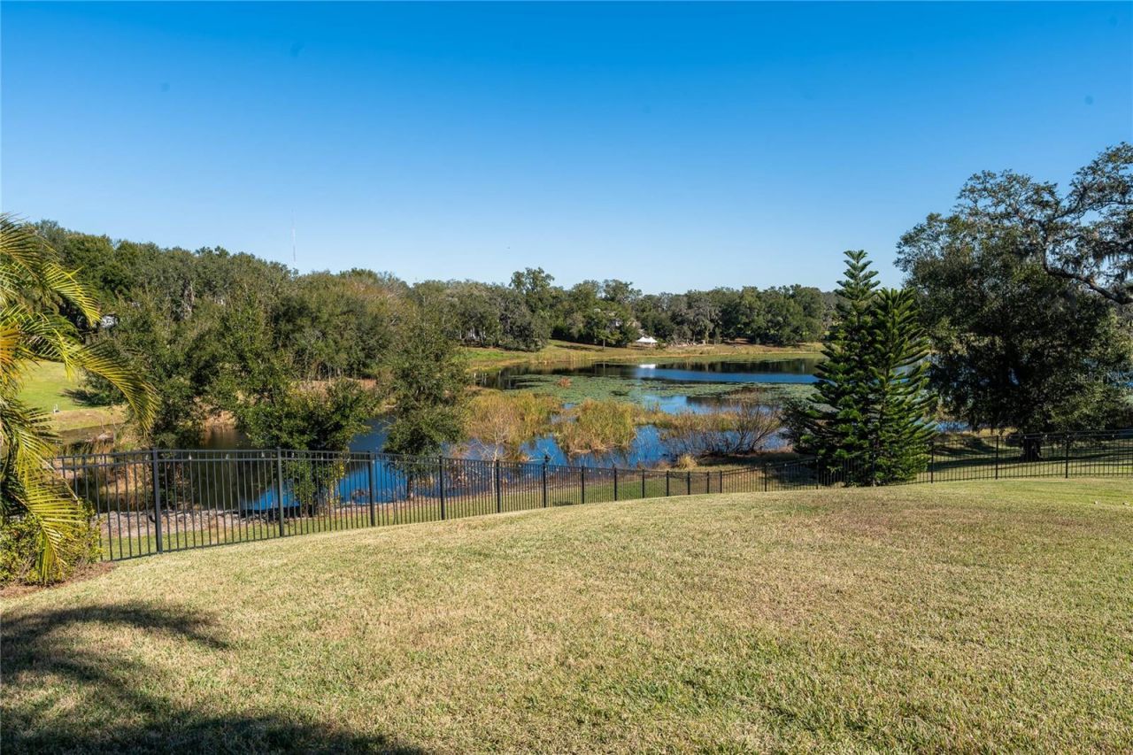 2041 Lake Fischer Cove Lane , Gotha, FL 34734 Photo