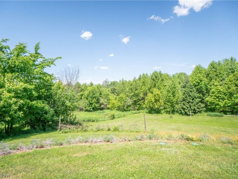 9567 Shepler Church Road, Bolivar, OH 44612 Photo 38