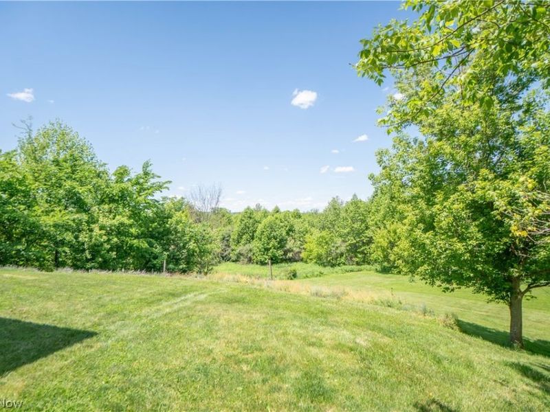 9567 Shepler Church Road, Bolivar, OH 44612 Photo 39