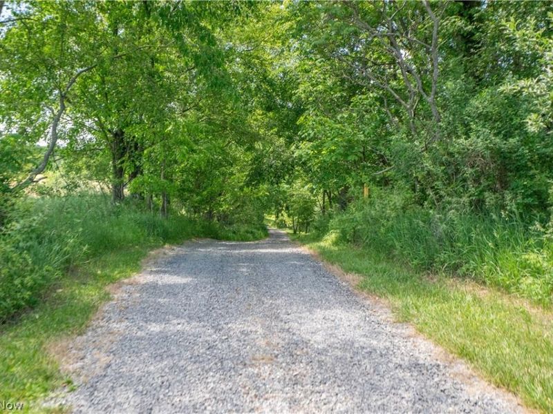 9567 Shepler Church Road, Bolivar, OH 44612 Photo 45