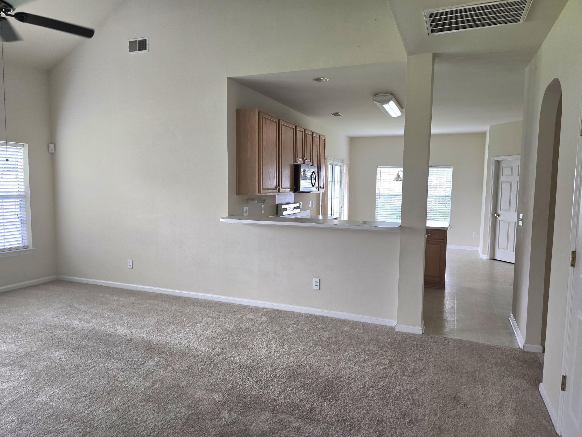 217 Summer Rain Court Photo 8