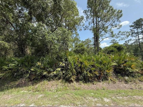 132 MILLICAN ROAD , PALATKA, FL 32177