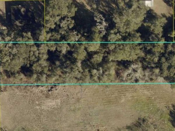 NW 2ND , WEBSTER, FL 33597