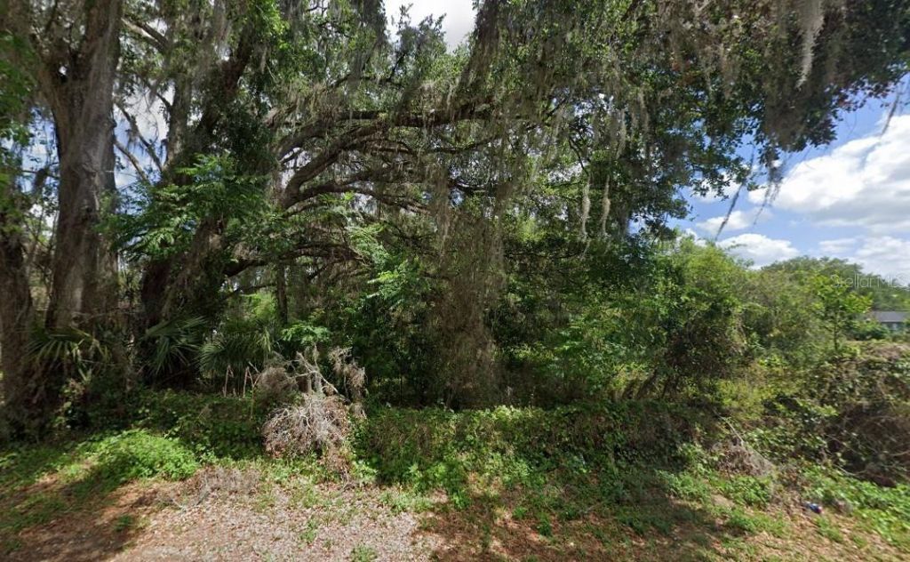 Nw 2nd, Webster, FL 33597 Photo