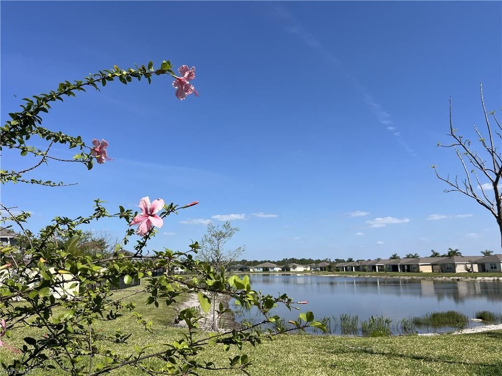 18540 Cronin Sand Ln, North Fort Myers, FL 33917 Photo