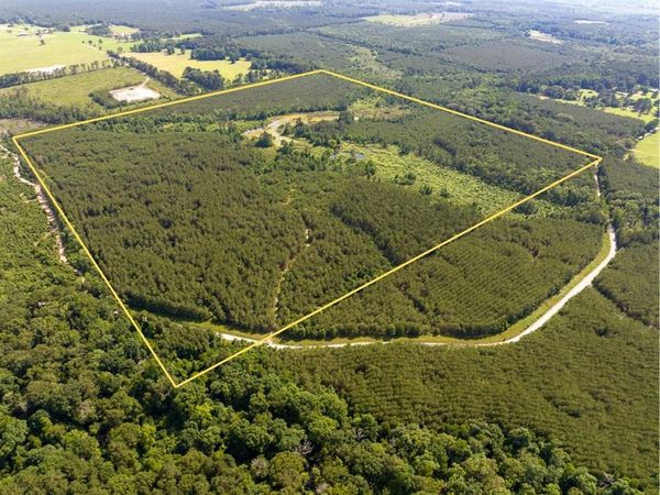 0 Ferguson Road , Coushatta, LA 71019