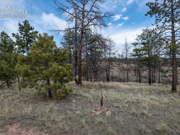 144 Chapparal Trail, Florissant, CO 80816