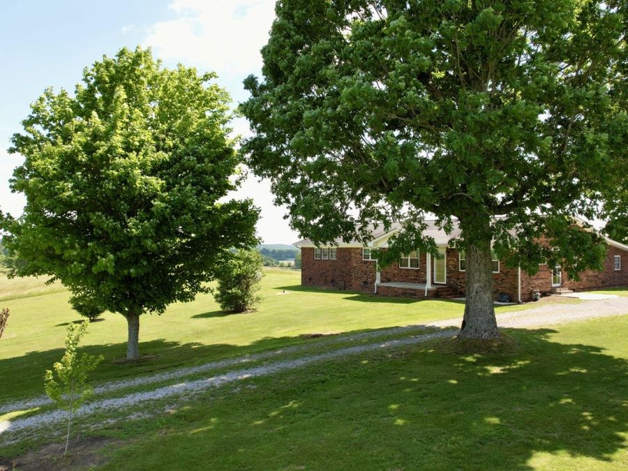 Property Image 63