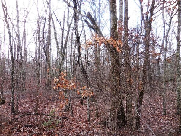 1143 Natchez Trace , Crossville, TN 38572