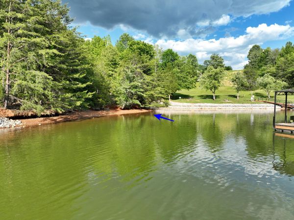 56 Blue Heron Bluff , Unit 56, Harriman, TN 37748