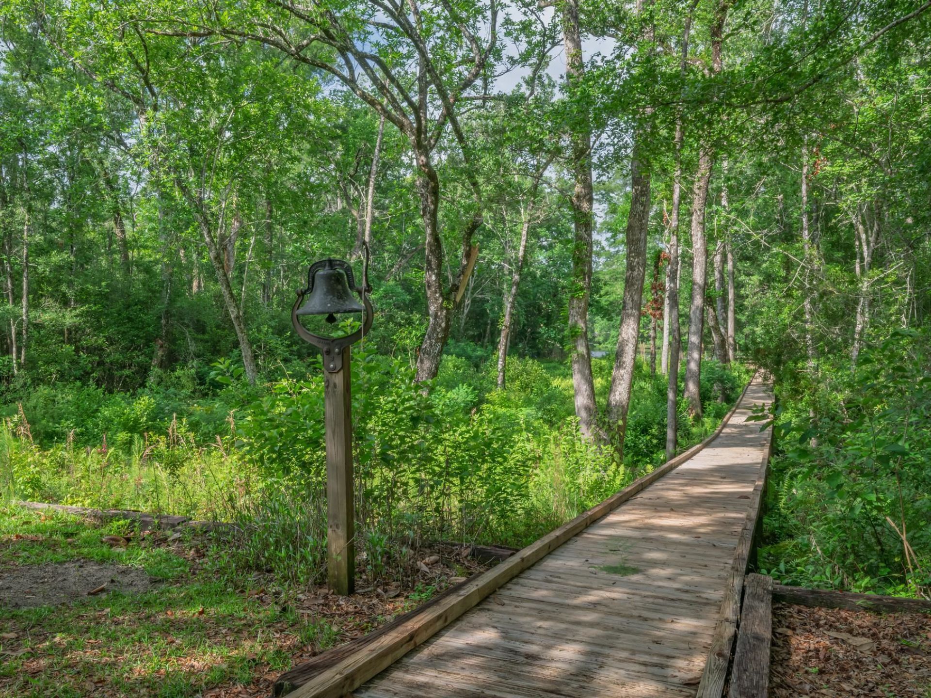 658 Woodlake Road, Sopchoppy, FL 32358 Photo