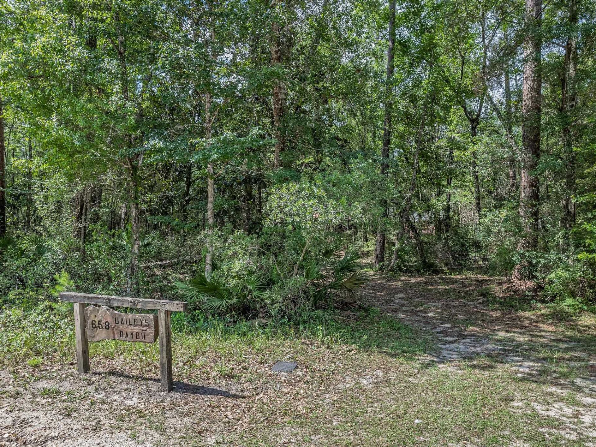 658 Woodlake Road, Sopchoppy, FL 32358 Photo