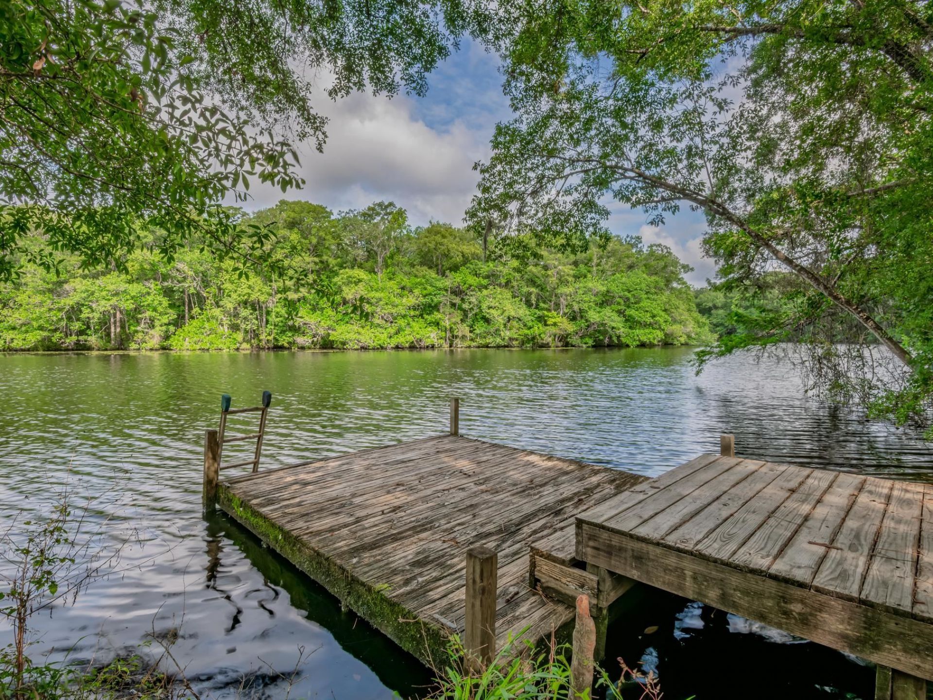 658 Woodlake Road, Sopchoppy, FL 32358 Photo
