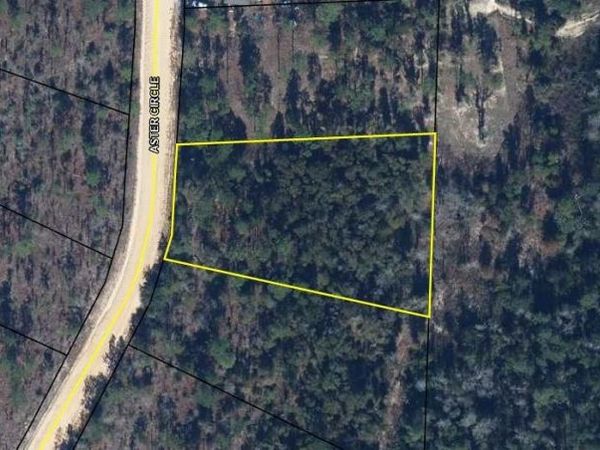 911 Aster Circle, Marianna, FL 32446