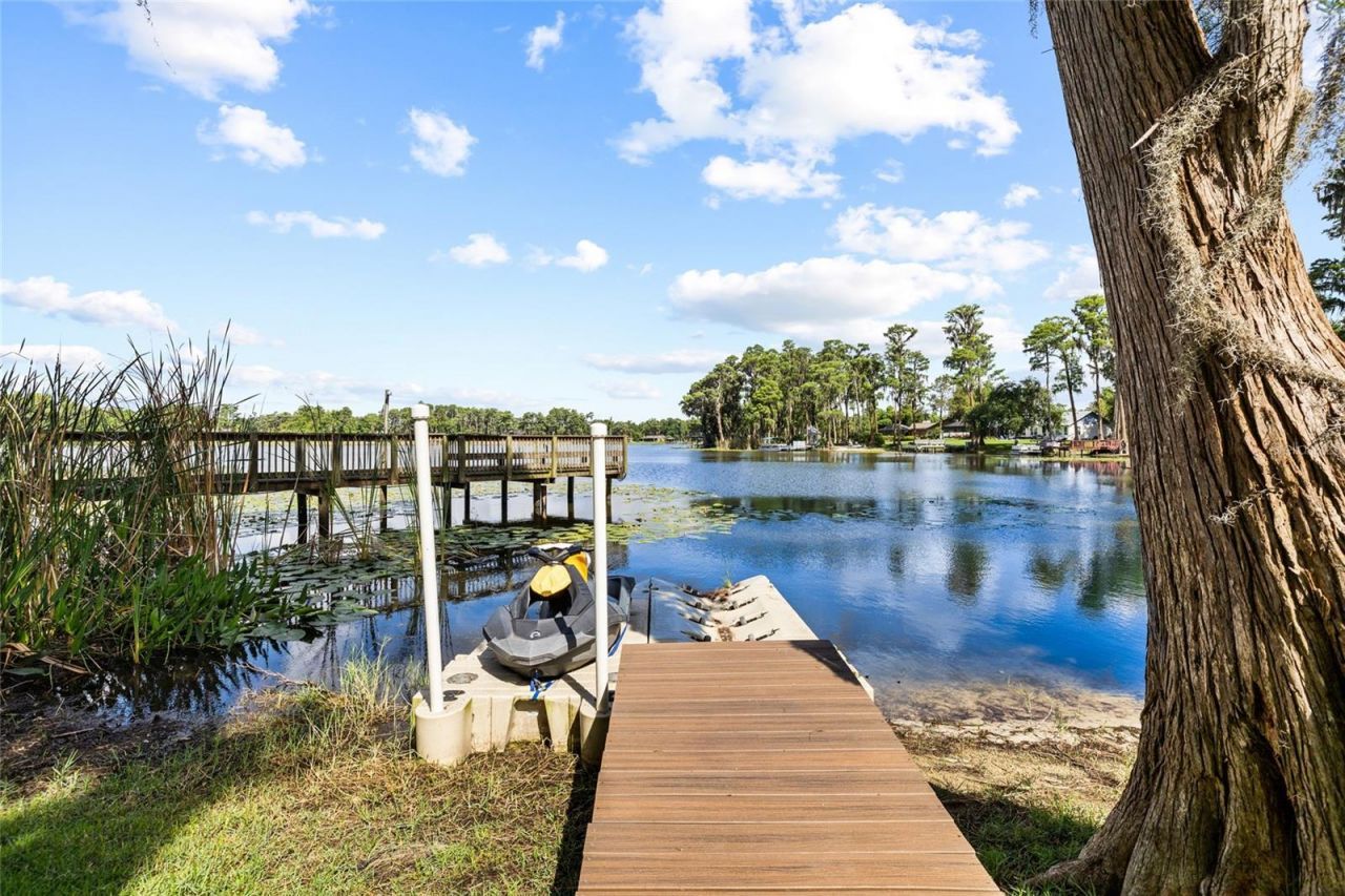 18010 Clear Lake Drive, Lutz, FL 33548 Photo