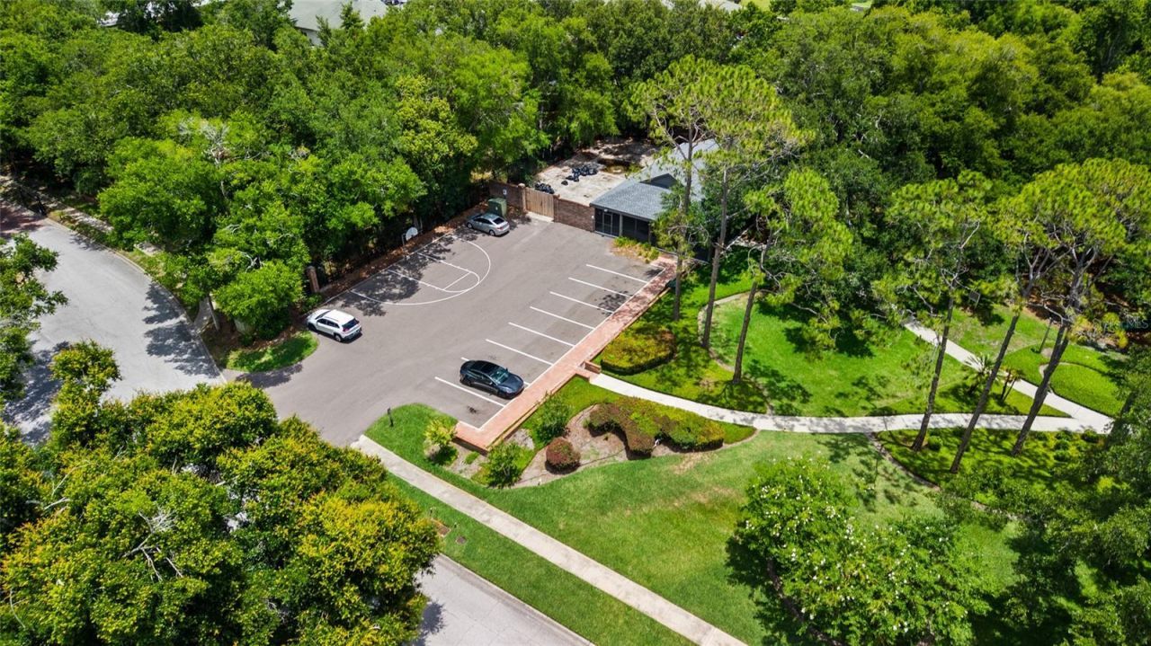 18010 Clear Lake Drive, Lutz, FL 33548 Photo