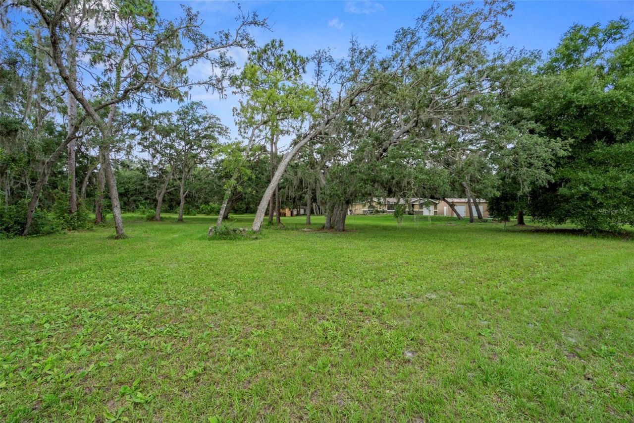 35362 Ranchette Boulevard , Webster, FL 33597 Photo