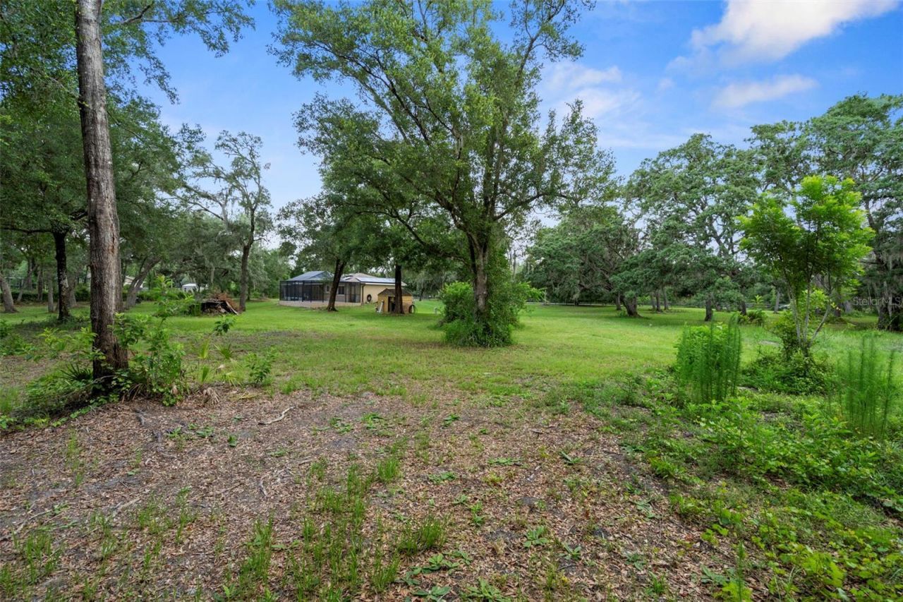 35362 Ranchette Boulevard , Webster, FL 33597 Photo