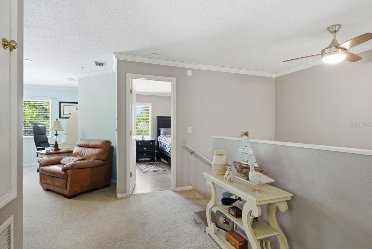 384 Wingate Circle , Oldsmar, FL 34677 Photo