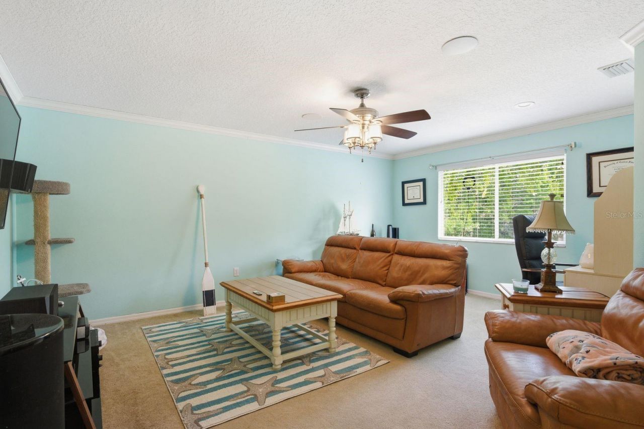 384 Wingate Circle , Oldsmar, FL 34677 Photo