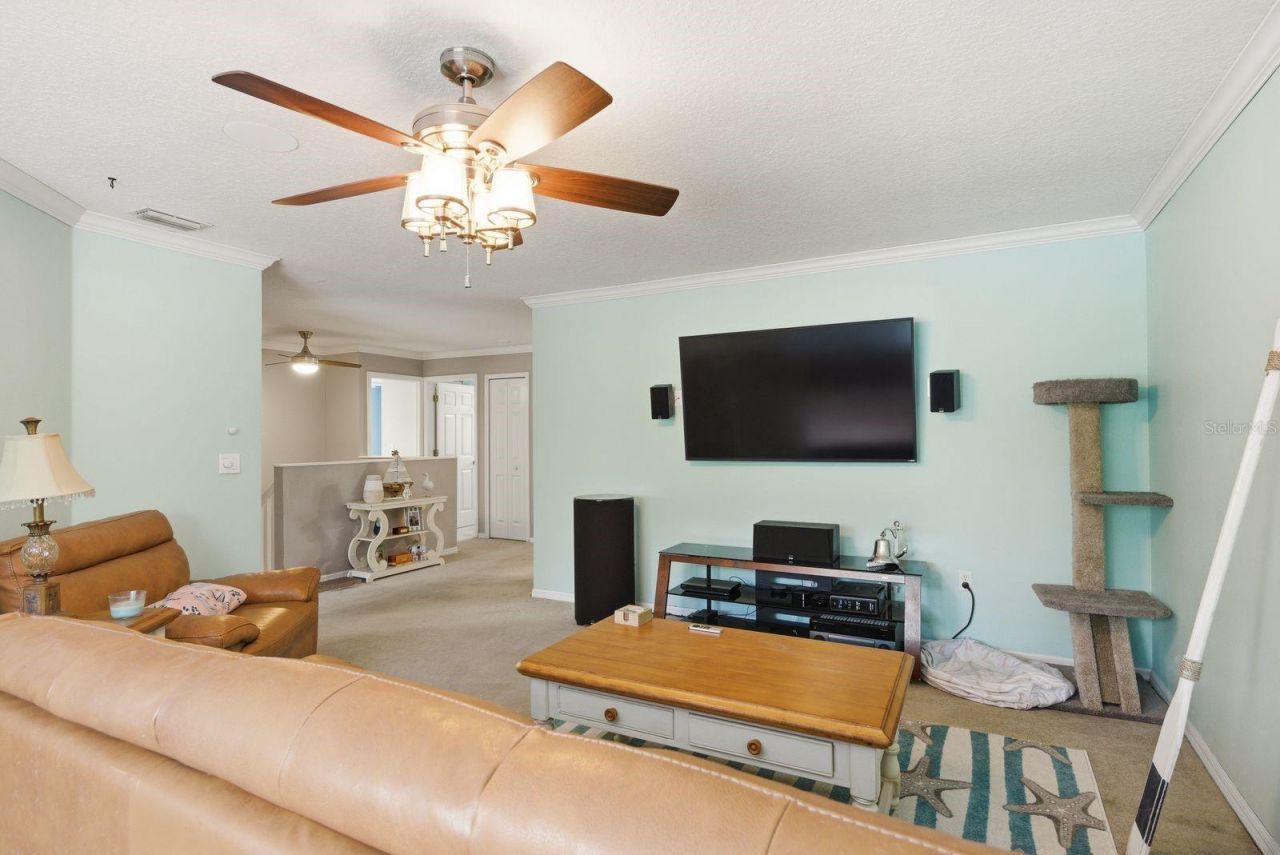 384 Wingate Circle , Oldsmar, FL 34677 Photo