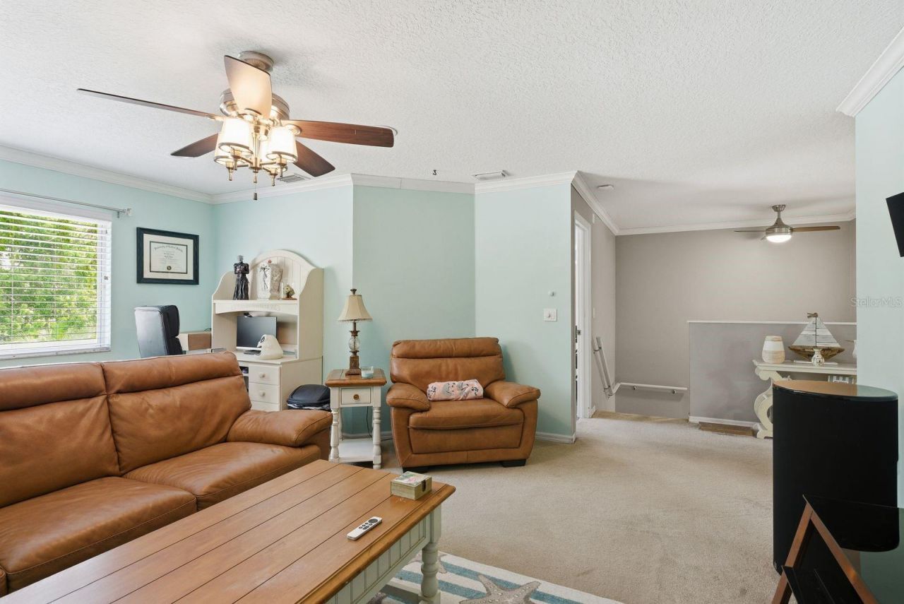 384 Wingate Circle , Oldsmar, FL 34677 Photo