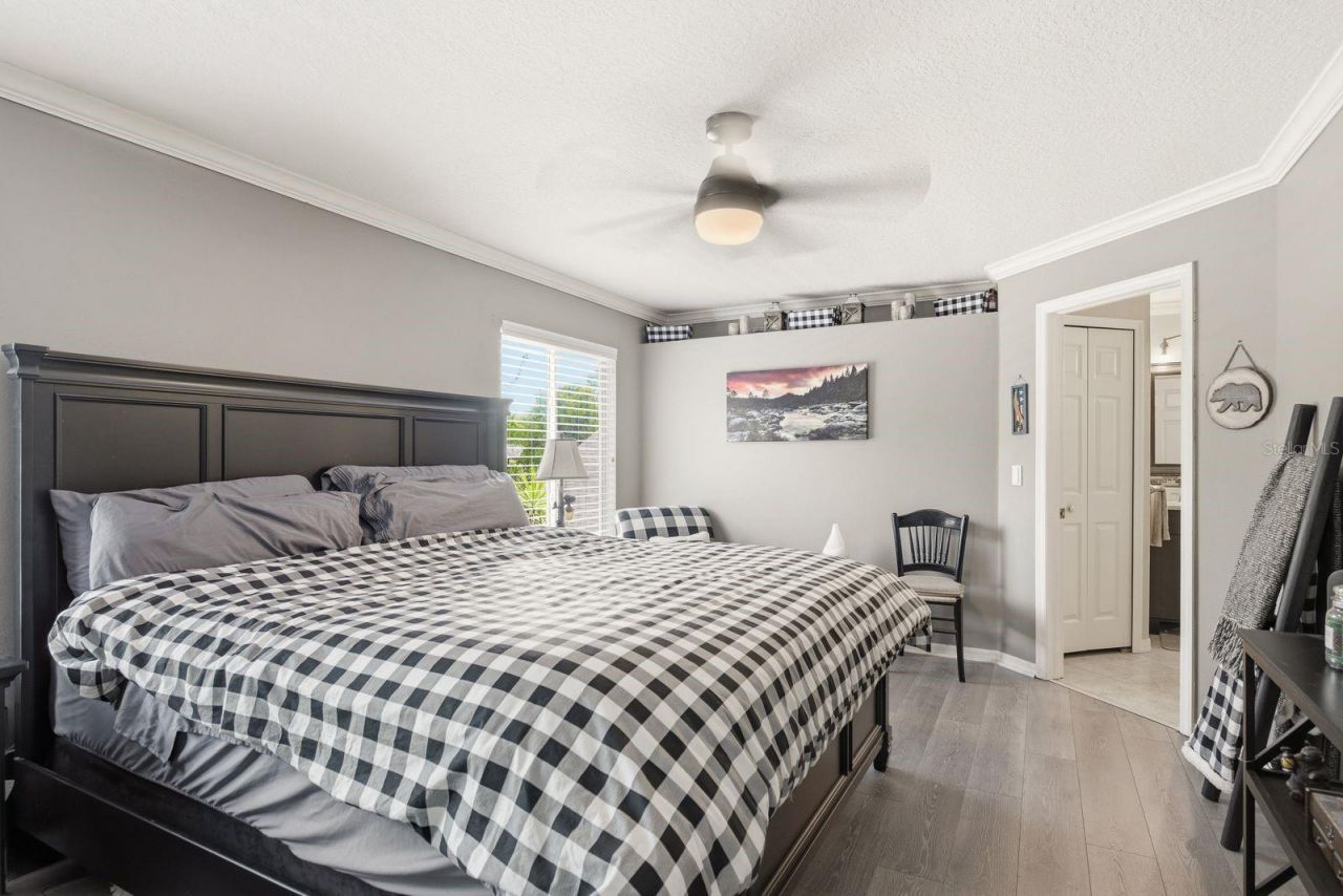 384 Wingate Circle , Oldsmar, FL 34677 Photo