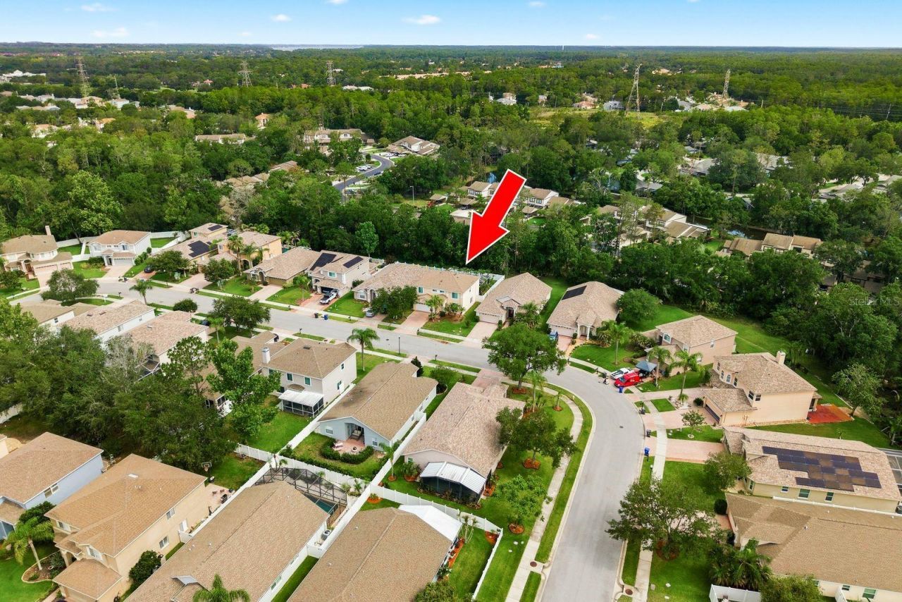 384 Wingate Circle , Oldsmar, FL 34677 Photo