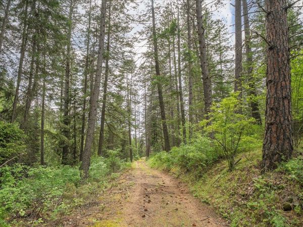 22XXX N Madison Rd, Mead, WA 99021