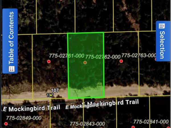 TBD E Mockingbird Trail , Lead Hill, AR 72644