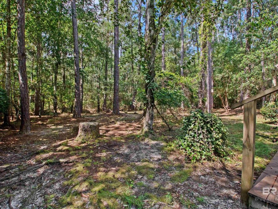 Property Image 79