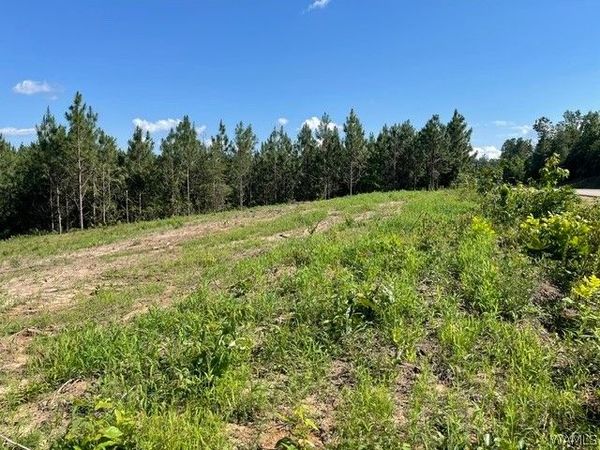 Lot 5 Longleaf, Tuscaloosa, AL 35406