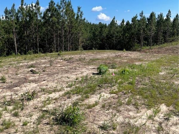 Lot 4 Longleaf, Tuscaloosa, AL 35406