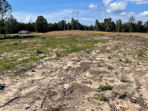 Lot 3 Longleaf, Tuscaloosa, AL 35406