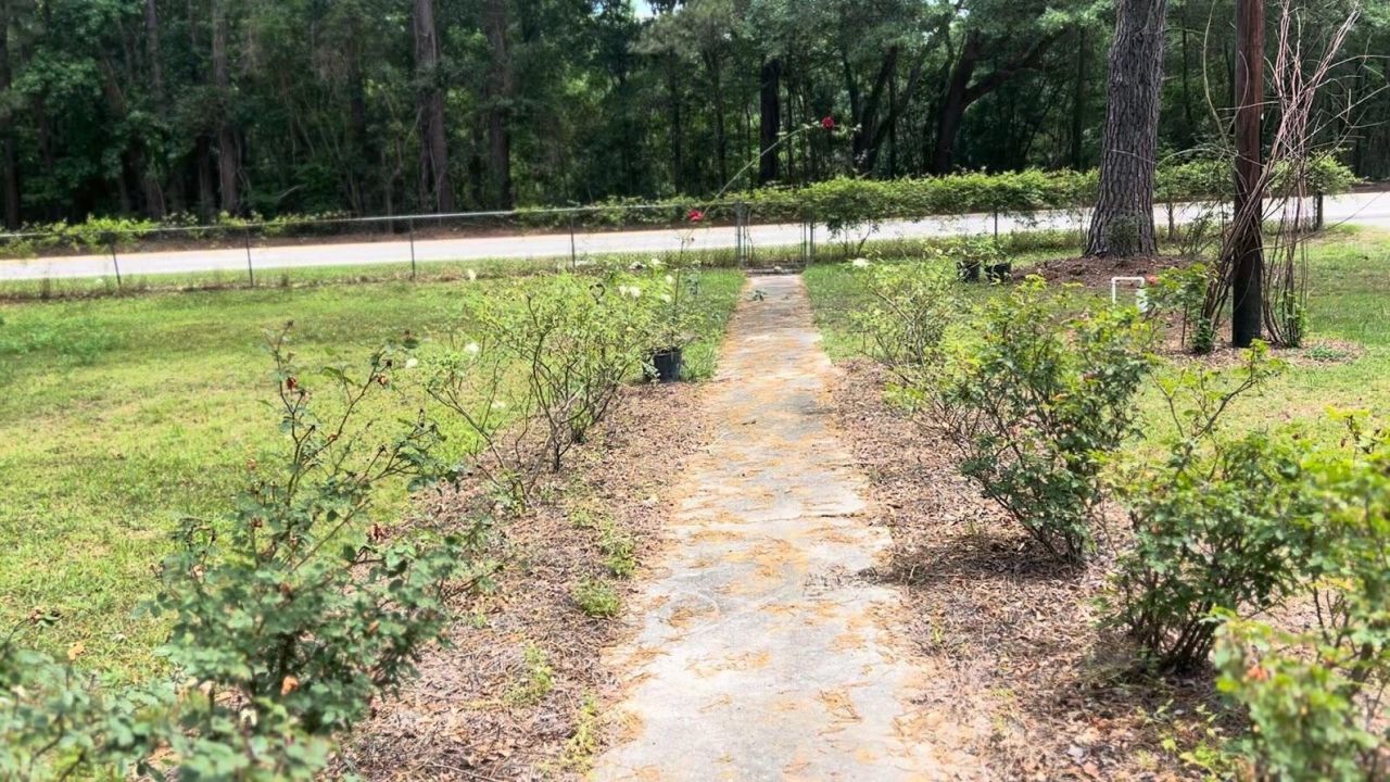 16676 Ace Basin Parkway Photo 16
