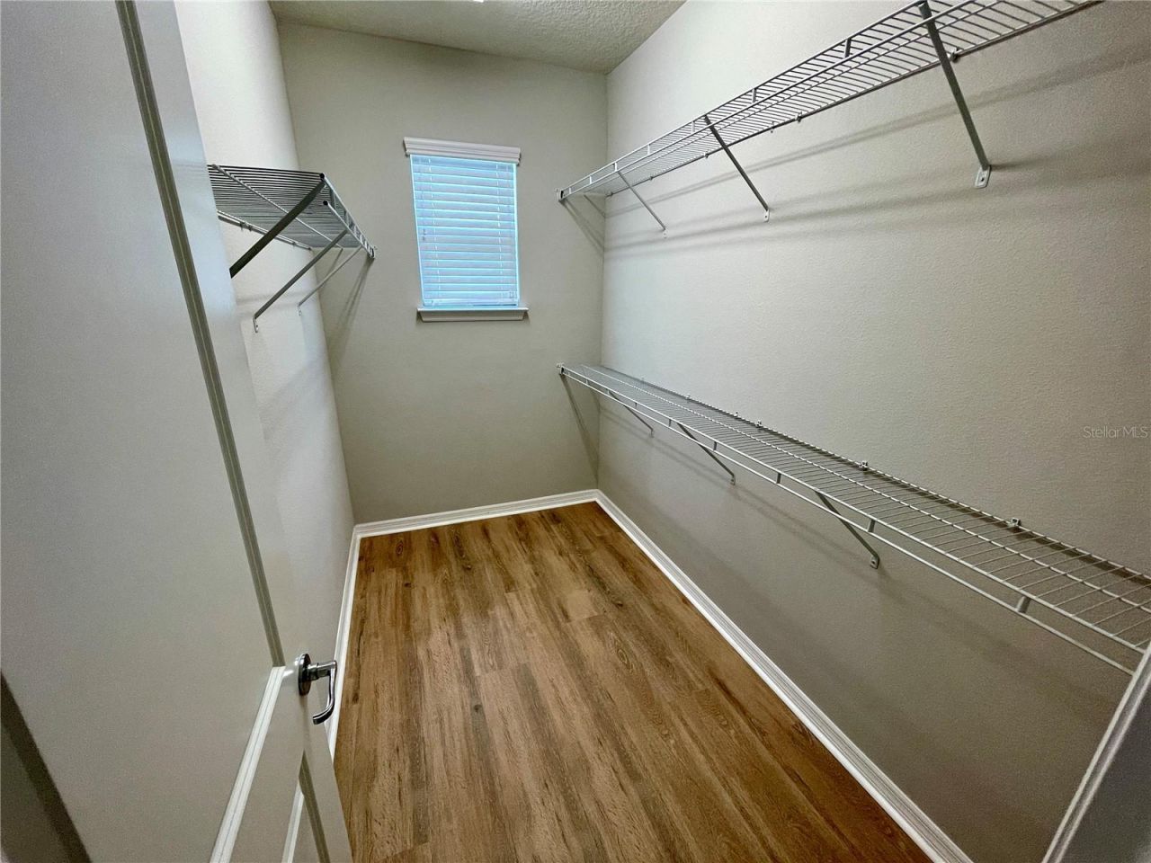 586 Piazza Point, Oviedo, FL 32765 Photo
