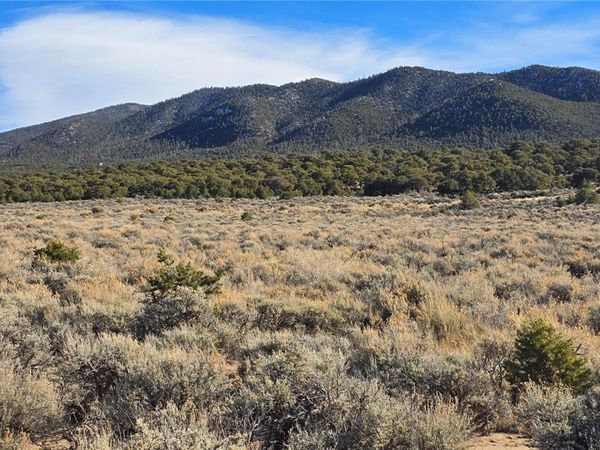 Lot 1075 Sylvia Road , Fort Garland, CO 81133