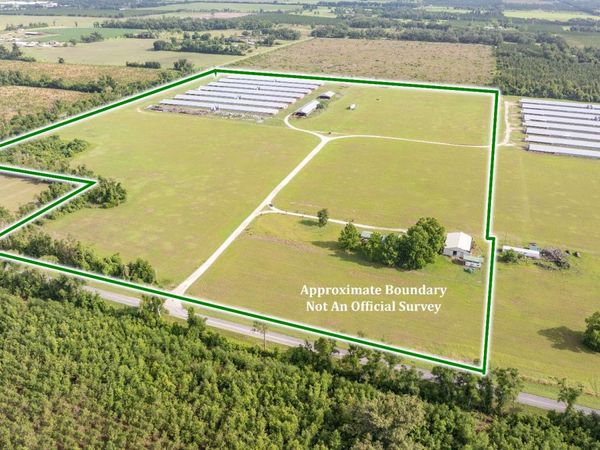 1083 SW COUNTY ROAD 351, Mayo, FL 32066