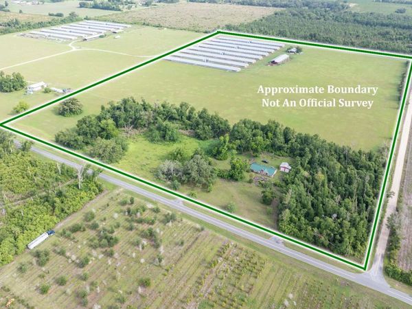 1175 SW COUNTY ROAD 351, Mayo, FL 32066
