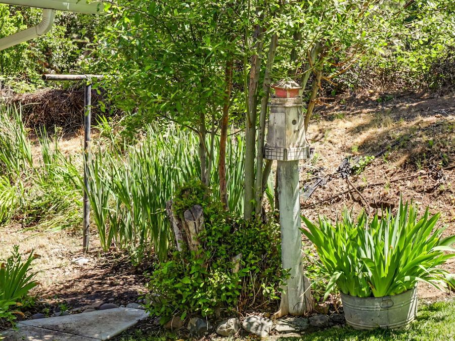 Property Image 58
