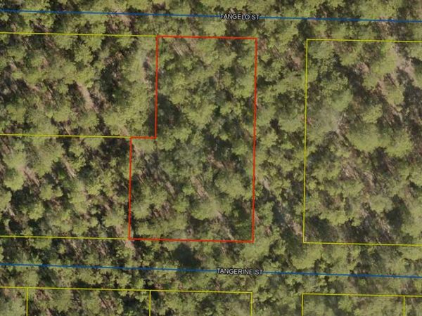 Lots 42-50 Tangerine Street, DeFuniak Springs, FL 32433