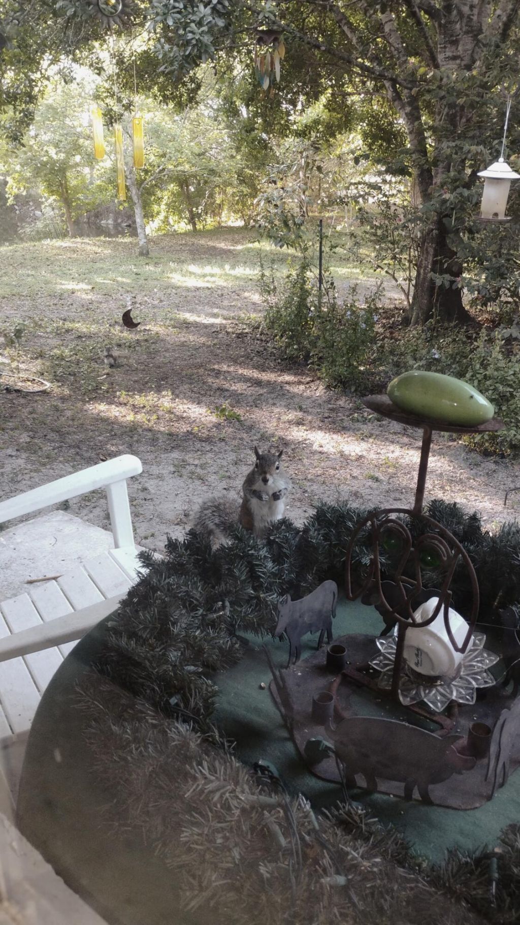15531 42nd Road N, Loxahatchee Groves, FL 33470 Photo
