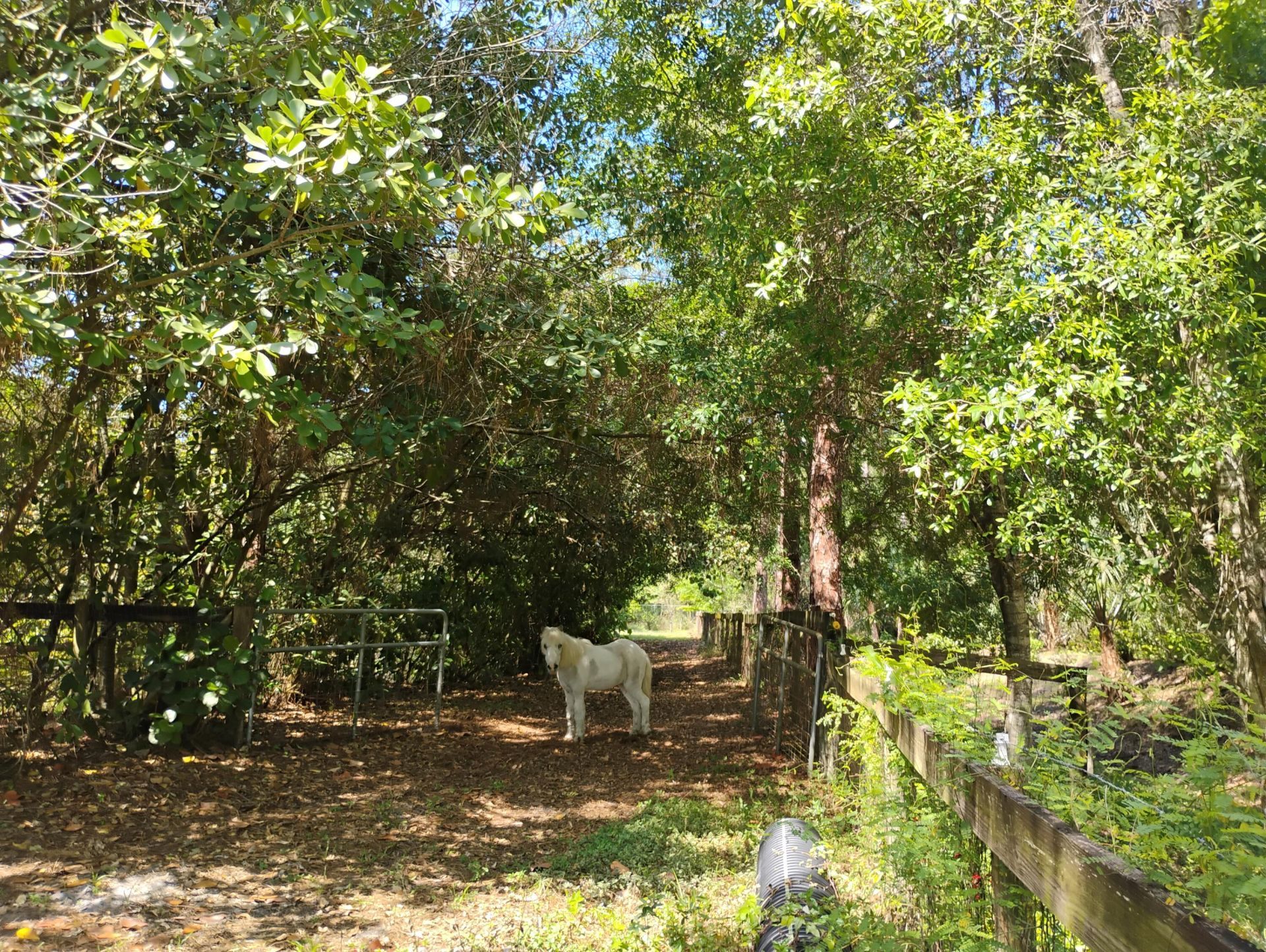 15531 42nd Road N, Loxahatchee Groves, FL 33470 Photo