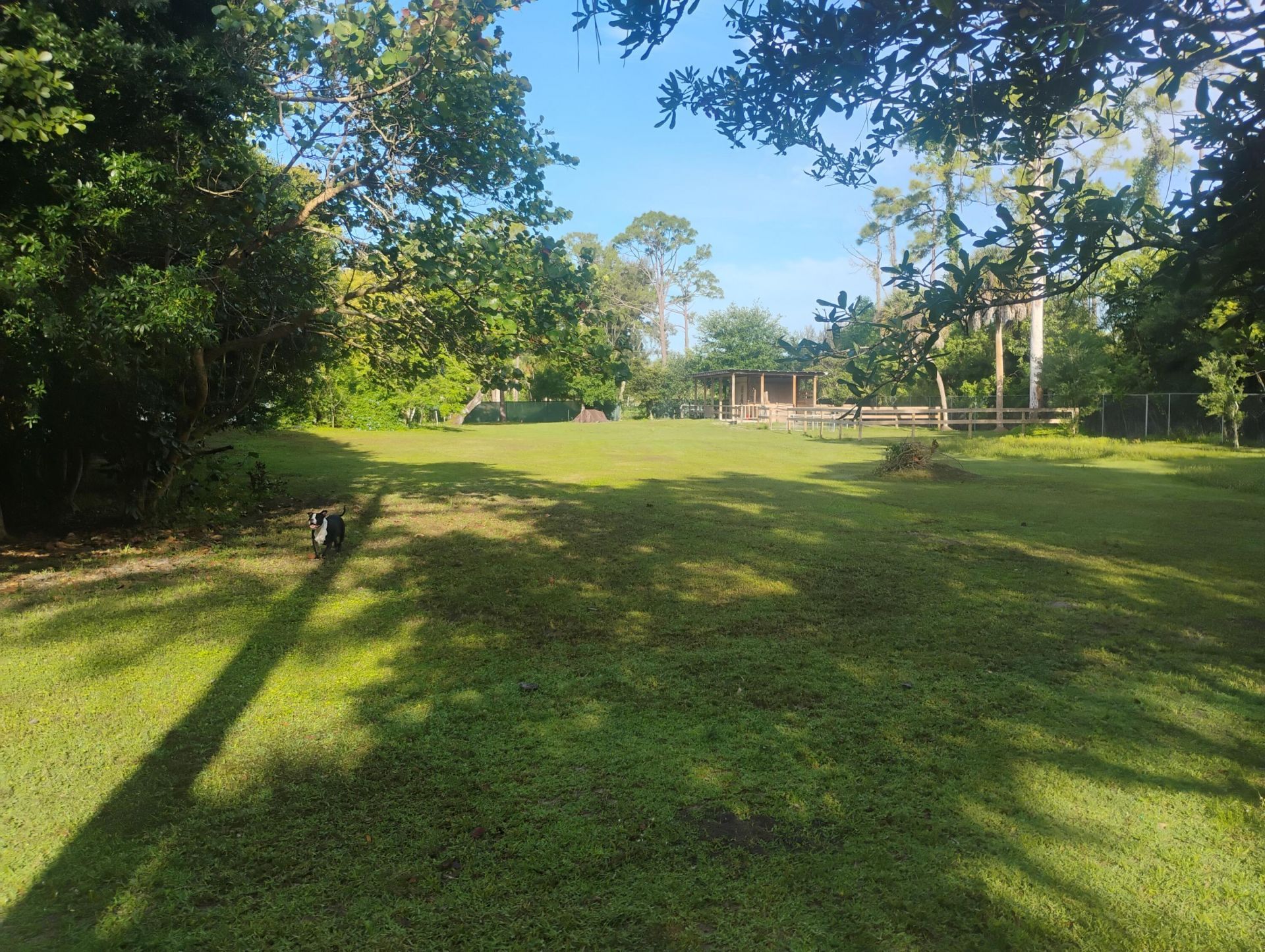 15531 42nd Road N, Loxahatchee Groves, FL 33470 Photo
