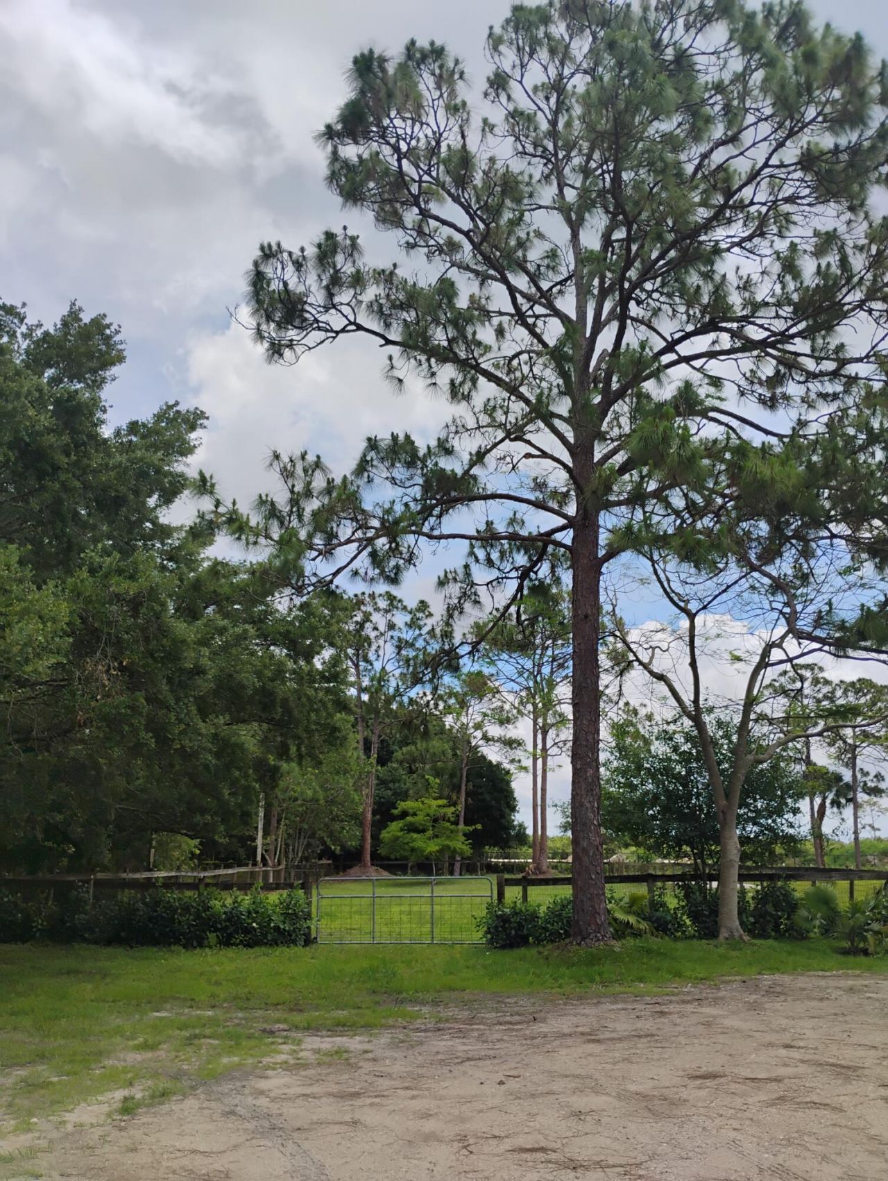 15531 42nd Road N, Loxahatchee Groves, FL 33470 Photo