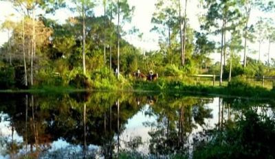 15531 42nd Road N, Loxahatchee Groves, FL 33470 Photo
