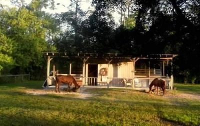 15531 42nd Road N, Loxahatchee Groves, FL 33470 Photo