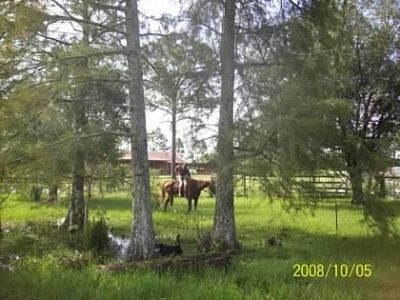 15531 42nd Road N, Loxahatchee Groves, FL 33470 Photo