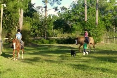 15531 42nd Road N, Loxahatchee Groves, FL 33470 Photo