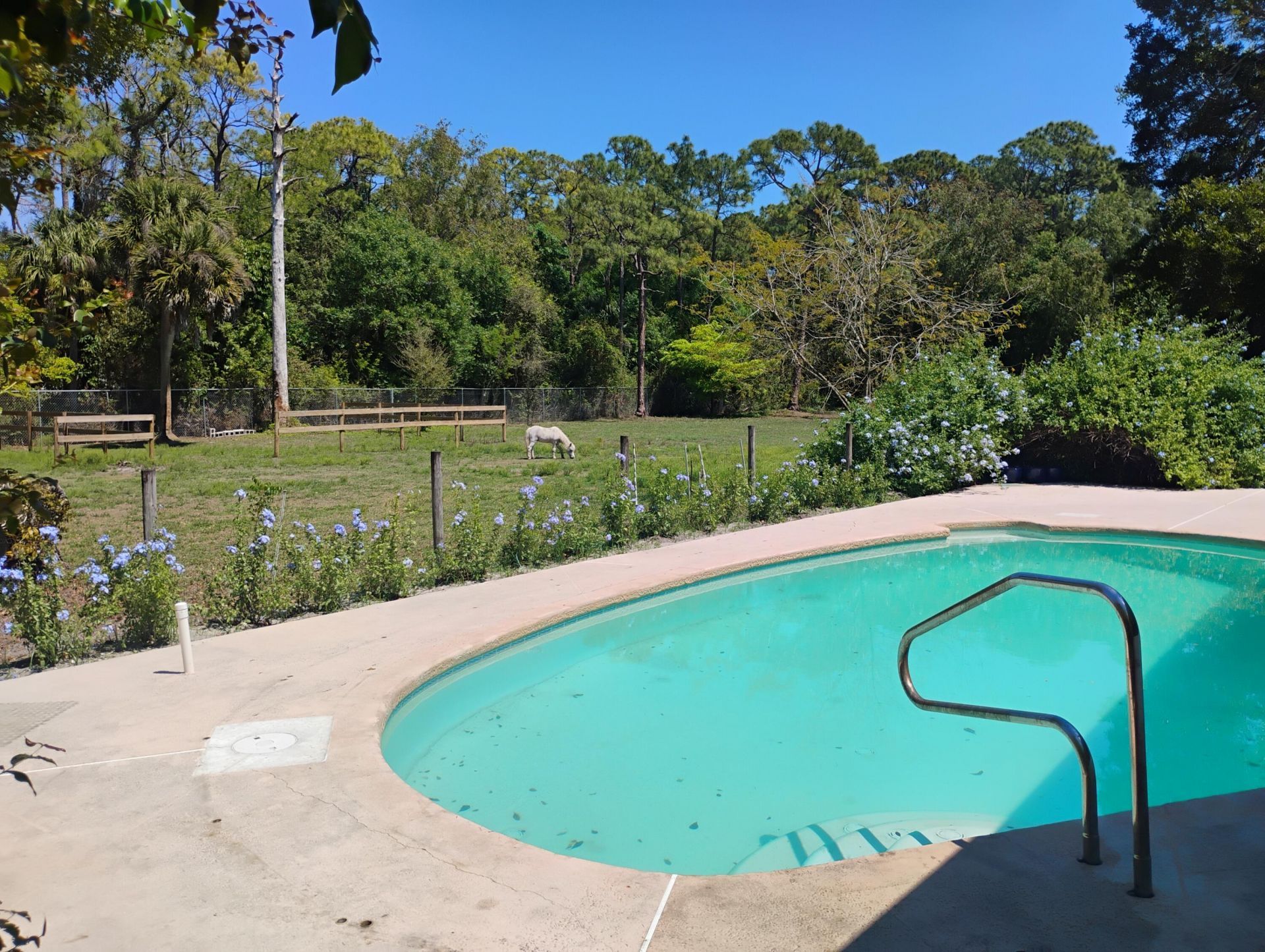 15531 42nd Road N, Loxahatchee Groves, FL 33470 Photo